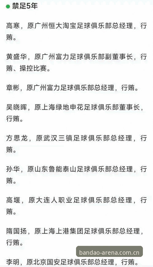 资深用户实战分析：足协第三批禁足名单详解与半岛体育平台观赛新体验